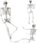 Wocst 5.4Ft/165cm Halloween Skeleton Full Body Life