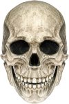 FLORENCE IISA Realistic Full Head Skull Mask with