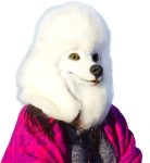 CreepyParty Dog Mask Poodle Head Face Costume Novelty