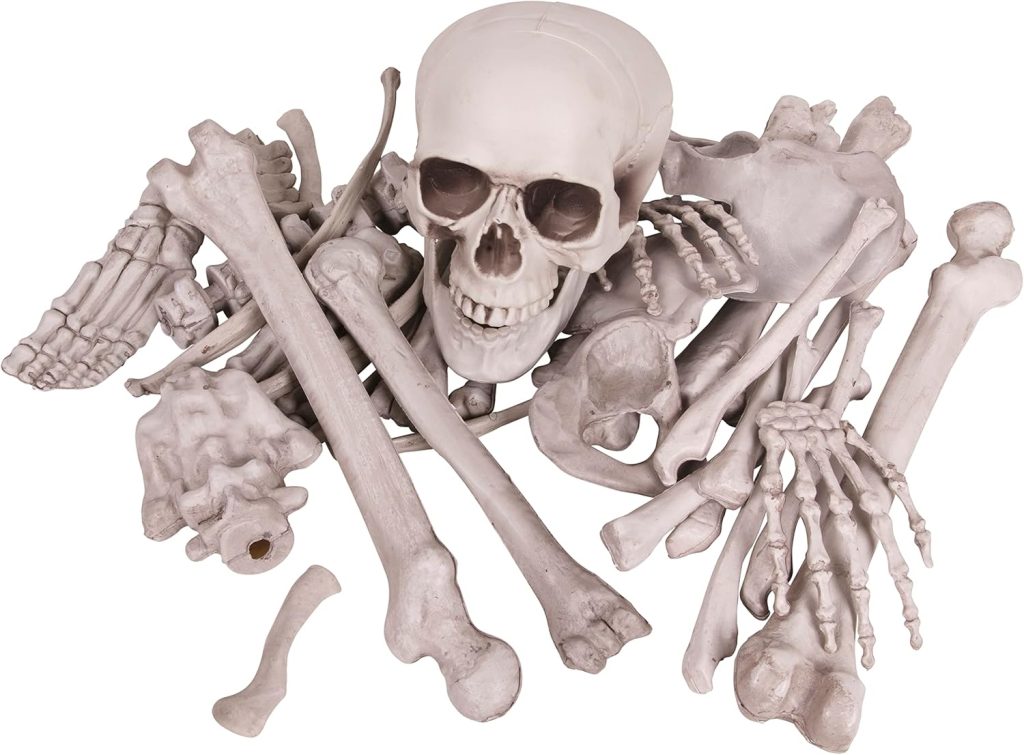 Kangaroo Halloween Skeleton Decor Bones 30 Pieces Bulk