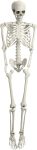Movable Joint Plastic Skeleton, 5.4Ft Poseable Life