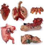 Scary Halloween Party Decorations, Realistic Haunted