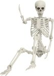 Life Size Skeleton, 5.4Ft/165cm Halloween Skeleton