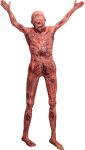 Halloween Bloody Dead Body - 4.8ft Latex Skinned