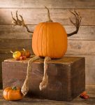 Plow & Hearth Set of 4 Bendable Pumpkin Arms and Legs |