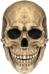NTSWZYS Realistic Halloween Full Head Skull Mask with