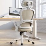 TRALT Office Chair - Ergonomic Office Chair with Back