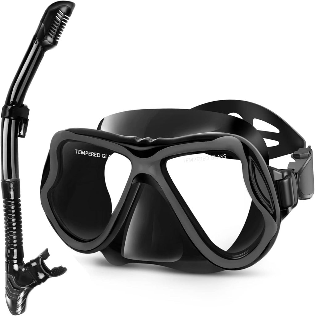 Greatever Dry Snorkel Set,Panoramic Wide View,Anti-Fog