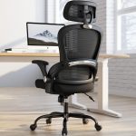 TRALT Office Chair - Ergonomic Office Chair with Back