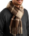 FURTALK Winter Scarf for Men Long Soft Warm Scarves