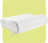 SEALY Dreamlife Standard Size Contour Memory Foam