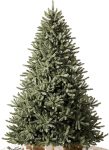 Balsam Hill 6.5ft Unlit Classic Blue Spruce -