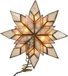 Kurt Adler 8.5-Inch Capiz Star Tree Topper with 10