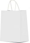 Qutuus White Paper Gift Bags with Handles Bulk 25 pcs