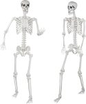Halloween Skeleton, Realistic Life Size Skeleton with