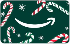 Amazon eGift Card - Seasonal - (Digital Delivery)
