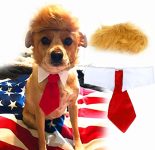 Trump Style Pet Costume Dog Wig, Dog Clothes with
