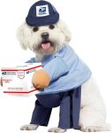 California Costumes Dog Mail Carrier Costume USPS Large