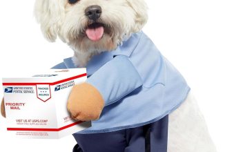 California Costumes Dog Mail Carrier Costume USPS Large