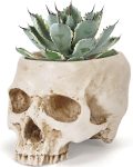 Skull Planter Pot for Plants - Realistic Human Skull