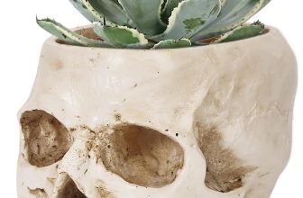 Skull Planter Pot for Plants - Realistic Human Skull