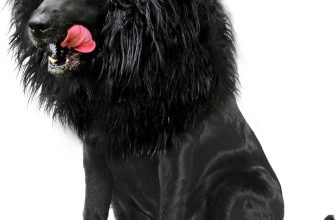 Onmygogo Lion Mane Wig for Dogs with Ears, Funny Pet