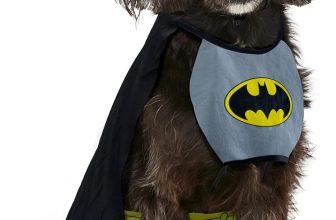 DC Comics Superheroes: Batman Pet Costume for Dogs or