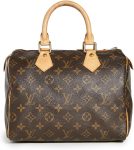 Louis Vuitton Women's Pre-Loved Speedy 25 Handbag