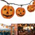 Halloween Party Supplies – Serves 24 – Pumpkin Plates, Review halloween plates and cups
