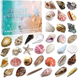 Natural Ocean Christmas Advent Calendar 2025 for Kids, Review advent calendar