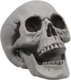 MOKRY PARTY Life Size Skeleton Skull for Halloween Review halloween decoration ideas