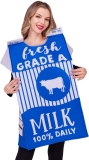 Seasons Milk Carton Costume Halloween Food Costume Box Review halloween costumes for adults