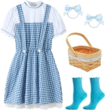 Halloween Costumes for Girls Blue Gingham Dress 2025 Review halloween family costumes