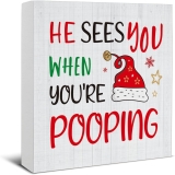 Christmas Bathroom Decorations – Funny Christmas Decor, Review christmas decorations