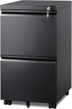 DEVAISE 2 Drawer Metal File Cabinet, Fully Assembled, Review filing cabinet