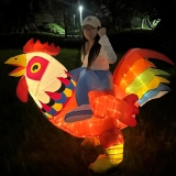 Inflatable Animal Costume Adult Outfit Blow Up Costumes Review halloween costumes for adults