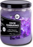Lilac Blossom Odor Eliminating Highly Fragranced Candle Review scented candles