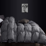 Luxurious Goose Down Feather Fiber Comforter Oversize Review comforter