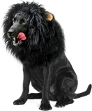 Onmygogo Lion Mane Wig for Dogs with Ears, Funny Pet Review halloween scary costumes