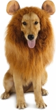 Halloween Realistic & Funny Lion Mane for Dog Costumes Review halloween funny costumes