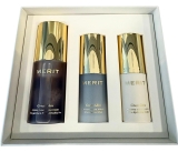 MERIT The Mini Great Skin Trio – Limited Edition Review merit makeup