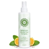 Honeybee Gardens Alcohol-Free Hair Spray, Herbal Mint, Review vegan makeup