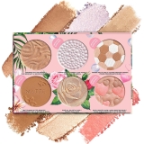 Physicians Formula All-Star Face Palette, Review vegan makeup