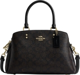 Coach Unisex Mini Lillie Carryall Review louis vuitton bag